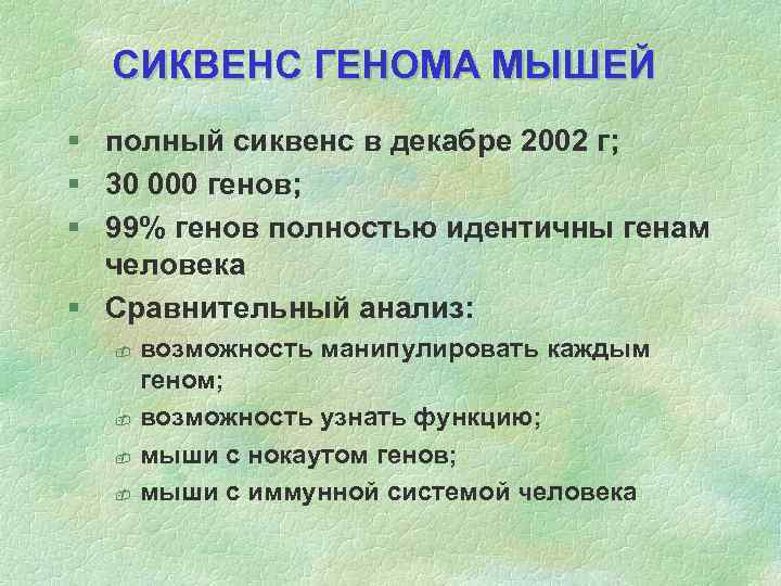 СИКВЕНС ГЕНОМА МЫШЕЙ § полный сиквенс в декабре 2002 г; § 30 000 генов;