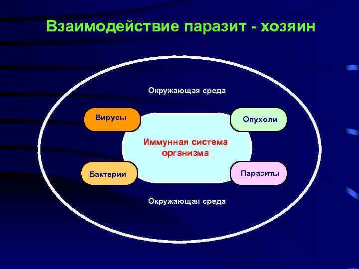 Взаимодействие паразит - хозяин Окружающая среда Вирусы Опухоли Иммунная система организма Паразиты Бактерии Окружающая