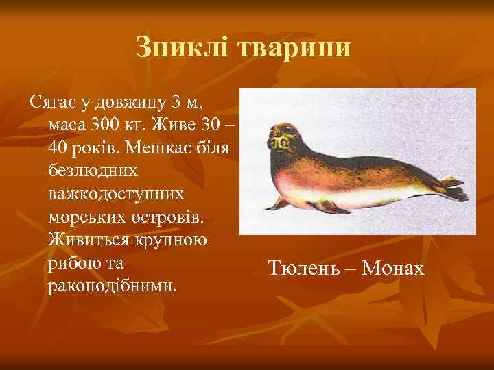 Зниклі тварини Сягає у довжину 3 м, маса 300 кг. Живе 30 – 40