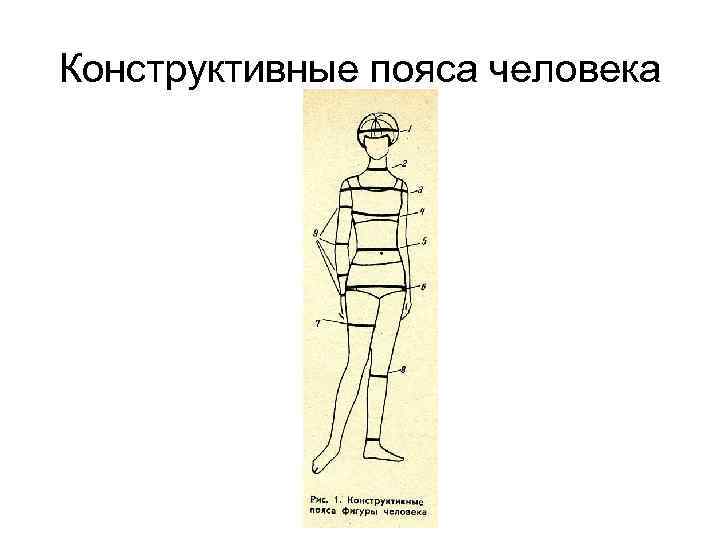 Конструктивные пояса человека 