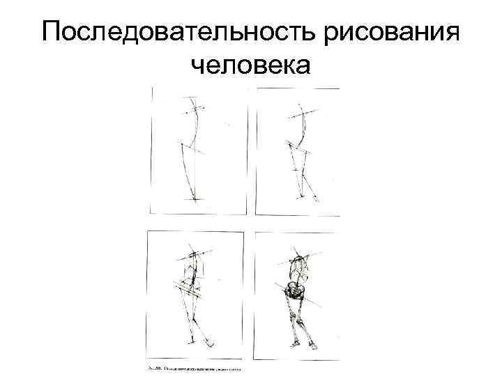 Последовательность рисования человека 
