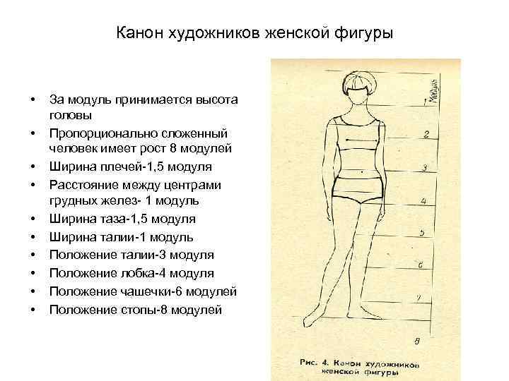 Канон художников женской фигуры • • • За модуль принимается высота головы Пропорционально сложенный