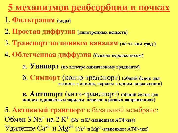 5 механизмов реабсорбции в почках 1. Фильтрация (воды) 2. Простая диффузия (липотропных веществ) 3.