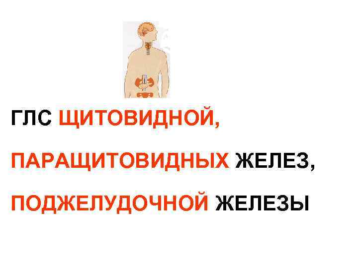 ГЛС ЩИТОВИДНОЙ, ПАРАЩИТОВИДНЫХ ЖЕЛЕЗ, ПОДЖЕЛУДОЧНОЙ ЖЕЛЕЗЫ 