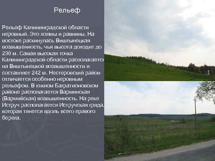 Рельеф Калининградской области неровный. Это холмы и равнины. На востоке раскинулась Виштынецкая возвышенность, чья
