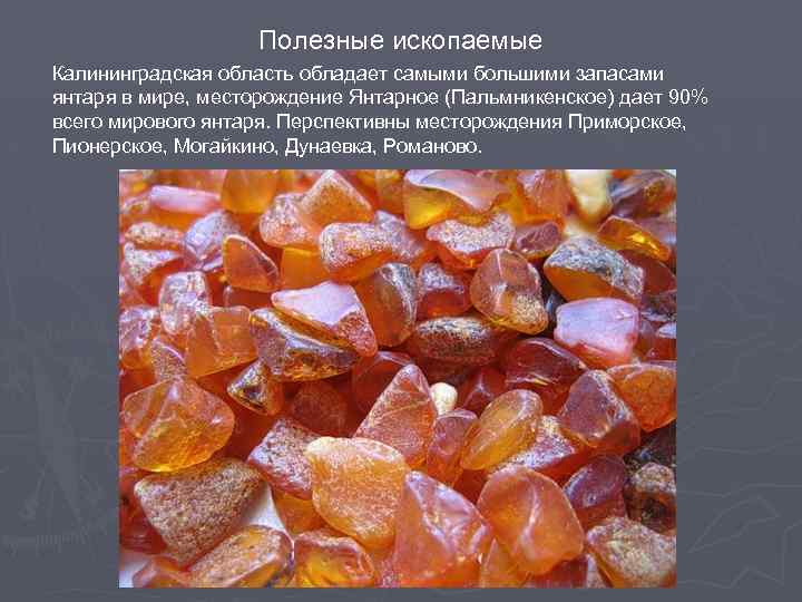 Полезные ископаемые Калининградская область обладает самыми большими запасами янтаря в мире, месторождение Янтарное (Пальмникенское)