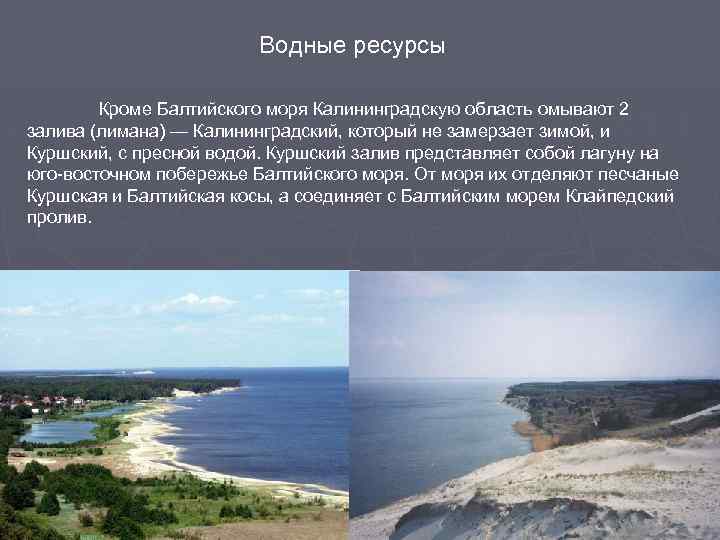 Водные ресурсы Кроме Балтийского моря Калининградскую область омывают 2 залива (лимана) — Калининградский, который