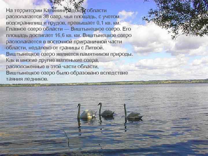 На территории Калининградской области располагается 38 озер, чья площадь, с учетом водохранилищ и прудов,