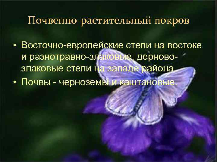 Почвенно-растительный покров • Восточно-европейские степи на востоке и разнотравно-злаковые, дерновозлаковые степи на западе района.