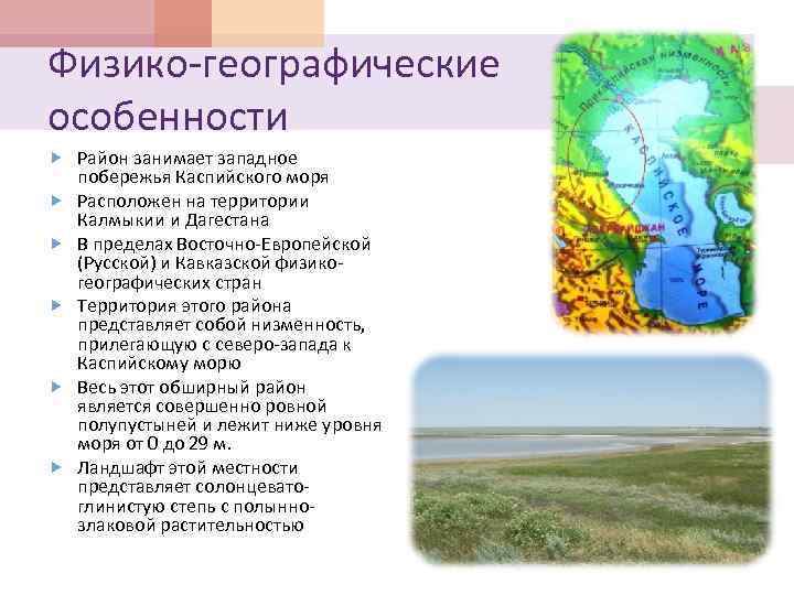 Физико-географические особенности Район занимает западное побережья Каспийского моря Расположен на территории Калмыкии и Дагестана