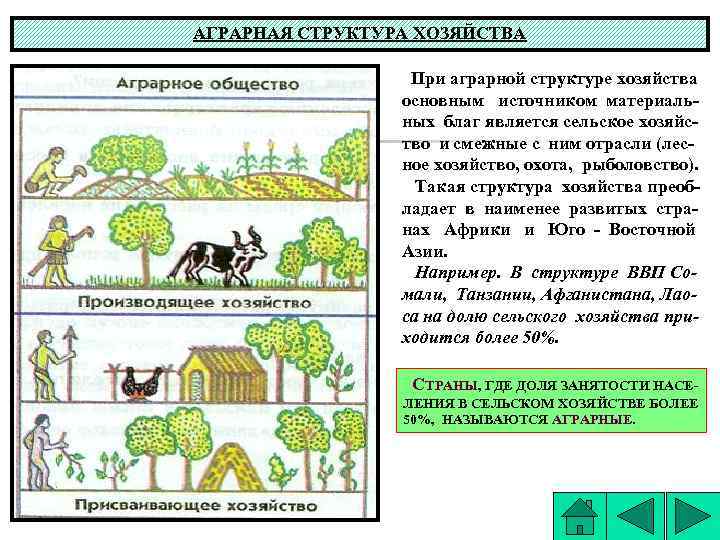 АГРАРНАЯ СТРУКТУРА ХОЗЯЙСТВА При аграрной структуре хозяйства основным источником материальных благ является сельское хозяйство