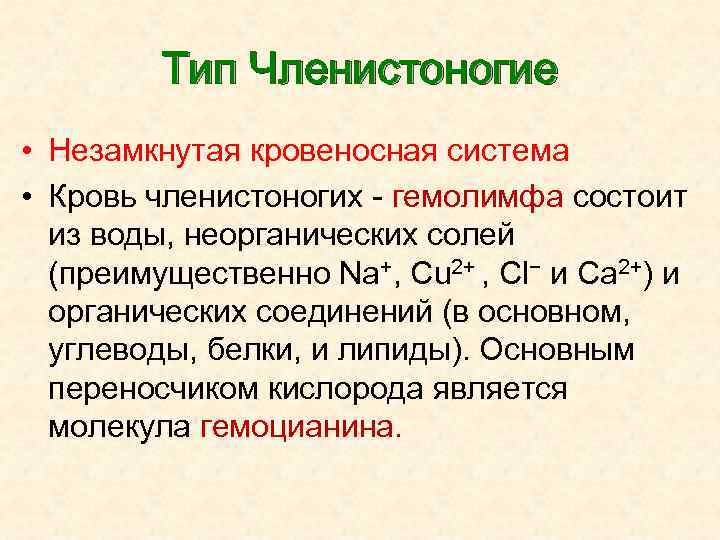 Тип Членистоногие • Незамкнутая кровеносная система • Кровь членистоногих - гемолимфа состоит из воды,