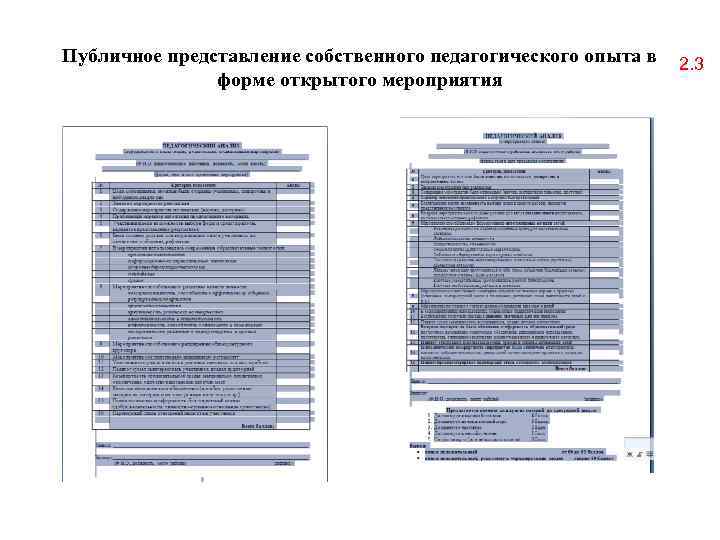 Публичное представление собственного педагогического опыта в форме открытого мероприятия 2. 3 