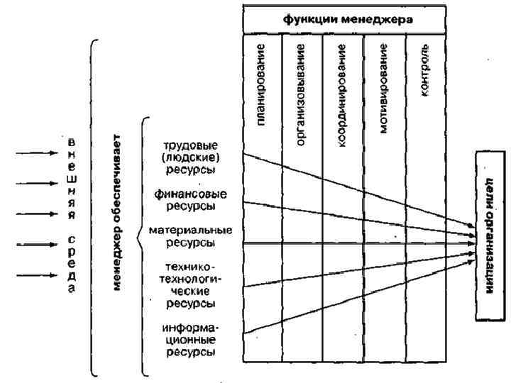 Профессиональные функции менеджеров