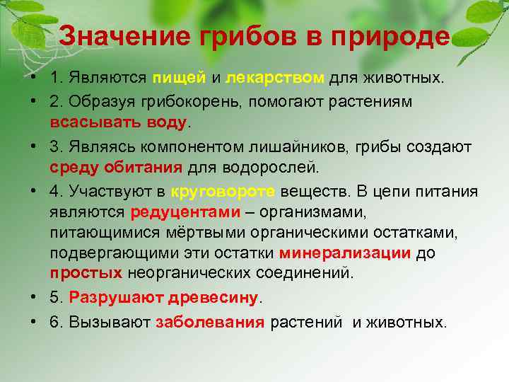 Значение грибов в природе • 1. Являются пищей и лекарством для животных. • 2.