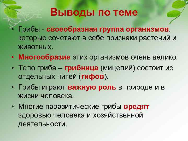 Выводы по теме • Грибы - своеобразная группа организмов, которые сочетают в себе признаки