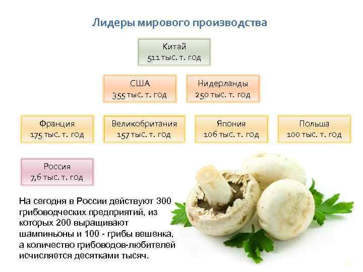 Лидеры мирового производства Китай 511 тыс. т. год США 355 тыс. т. год Франция