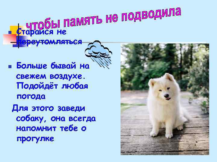 n Старайся не переутомляться Больше бывай на свежем воздухе. Подойдёт любая погода Для этого