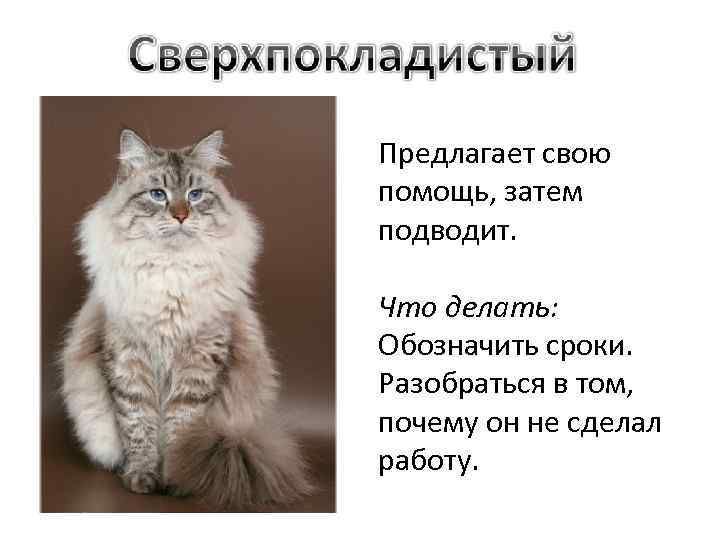 Предлагает свою помощь, затем подводит. Что делать: Обозначить сроки. Разобраться в том, почему он