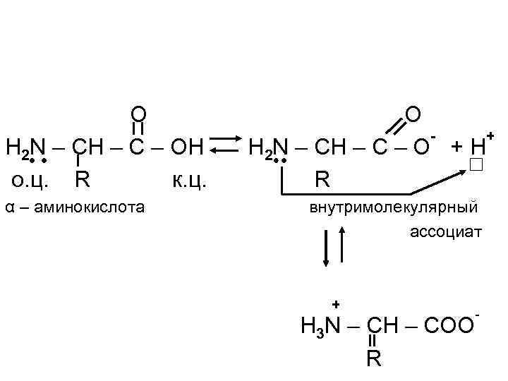 O H 2 N – CH – C – OH о. ц. R к.