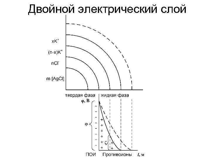 Двойной электрический слой 