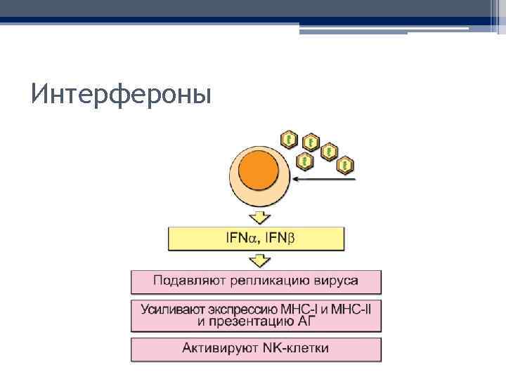 Интерфероны 