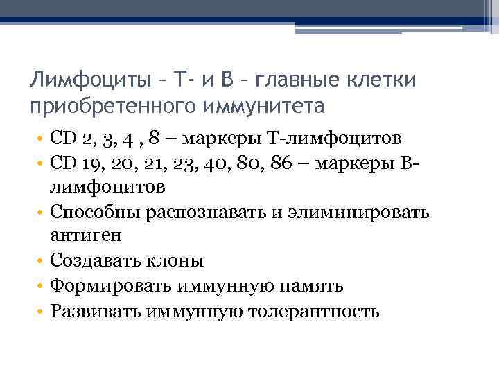 Лимфоциты – Т- и В – главные клетки приобретенного иммунитета • CD 2, 3,