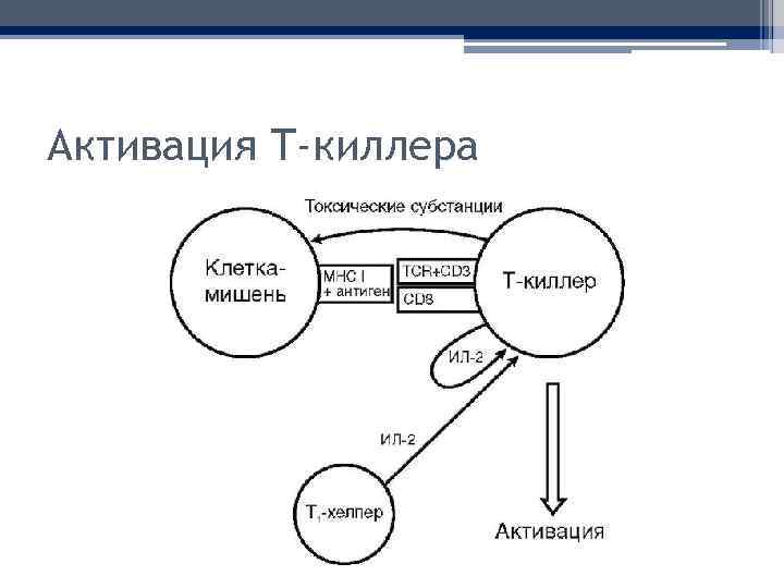 Активация Т-киллера 