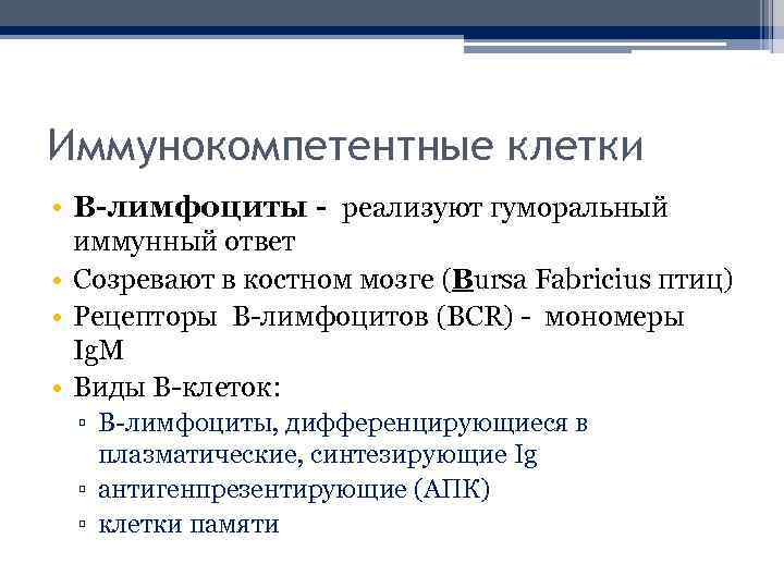 Иммунокомпетентные клетки • B-лимфоциты - реализуют гуморальный иммунный ответ • Созревают в костном мозге