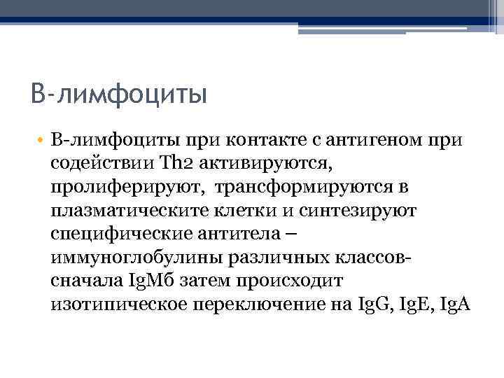 В-лимфоциты • В-лимфоциты при контакте с антигеном при содействии Th 2 активируются, пролиферируют, трансформируются