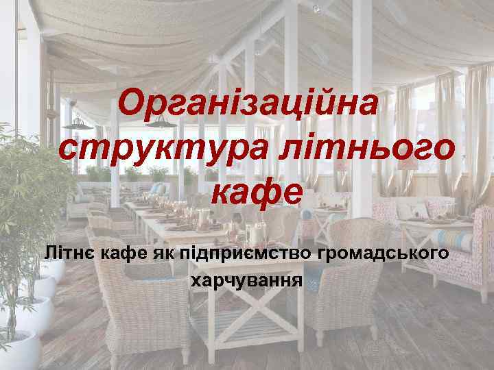 Організаційна структура літнього кафе Літнє кафе як підприємство громадського харчування 
