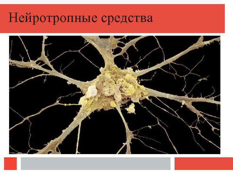 Нейротропные средства 