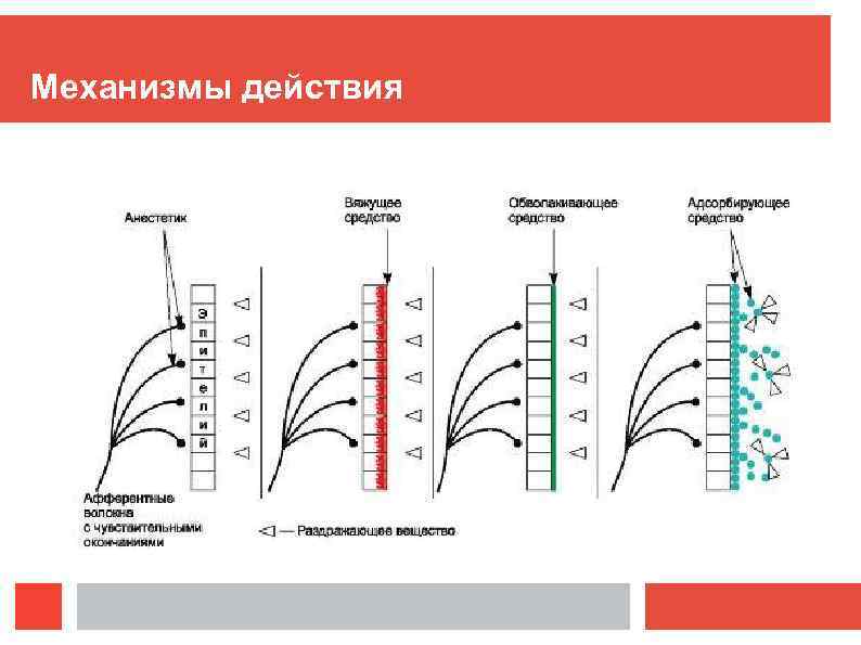 Механизмы действия 