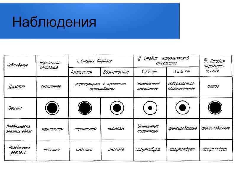 Наблюдения 
