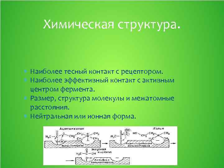 Химическая структура. Наиболее тесный контакт с рецептором. Наиболее эффективный контакт с активным центром фермента.