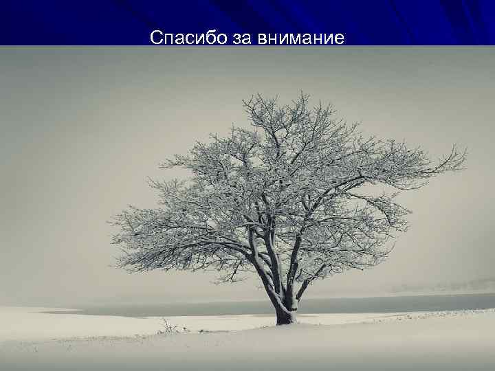 Спасибо за внимание 