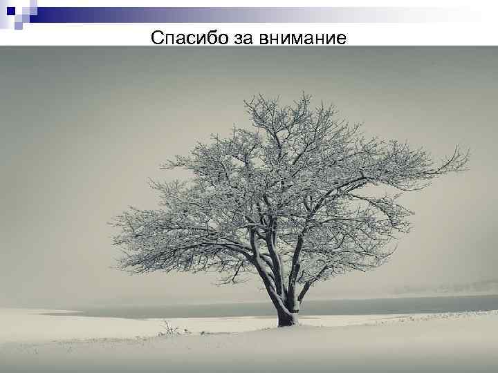 Спасибо за внимание 