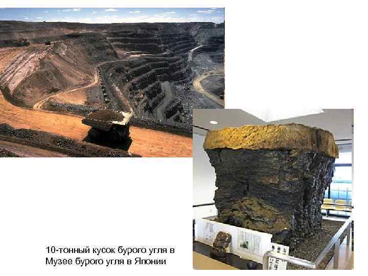 10 -тонный кусок бурого угля в Музее бурого угля в Японии 
