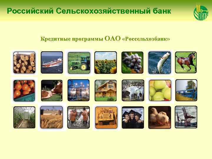Российский Сельскохозяйственный банк Кредитные программы ОАО «Россельхозбанк» 