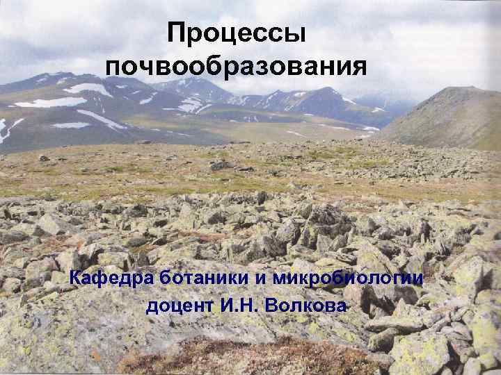 Процессы почвообразования Кафедра ботаники и микробиологии доцент И. Н. Волкова 