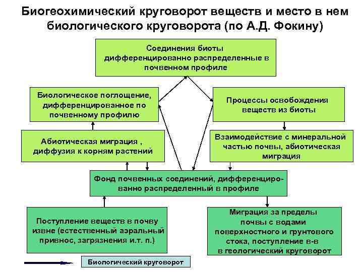 Биогеохимический круговорот веществ и место в нем биологического круговорота (по А. Д. Фокину) Соединения