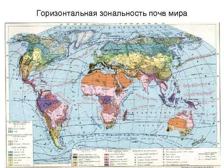 Горизонтальная зональность почв мира 