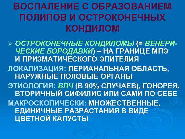 ВОСПАЛЕНИЕ С ОБРАЗОВАНИЕМ ПОЛИПОВ И ОСТРОКОНЕЧНЫХ КОНДИЛОМ ОСТРОКОНЕЧНЫЕ КОНДИЛОМЫ (= ВЕНЕРИЧЕСКИЕ БОРОДАВКИ) – НА