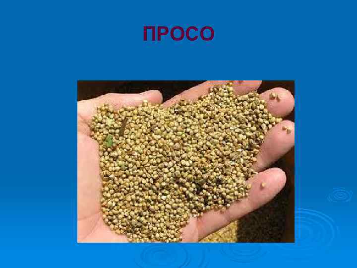 ПРОСО 