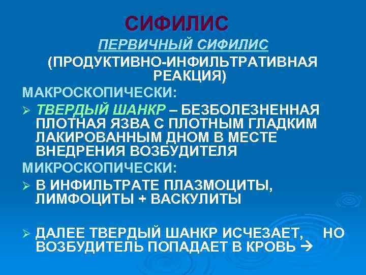 СИФИЛИС ПЕРВИЧНЫЙ СИФИЛИС (ПРОДУКТИВНО-ИНФИЛЬТРАТИВНАЯ РЕАКЦИЯ) МАКРОСКОПИЧЕСКИ: Ø ТВЕРДЫЙ ШАНКР – БЕЗБОЛЕЗНЕННАЯ ПЛОТНАЯ ЯЗВА С