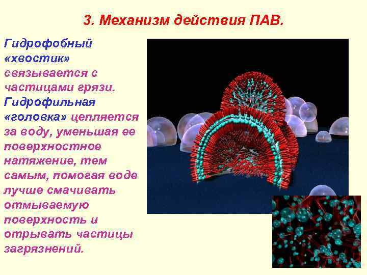 3. Механизм действия ПАВ. Гидрофобный «хвостик» связывается с частицами грязи. Гидрофильная «головка» цепляется за