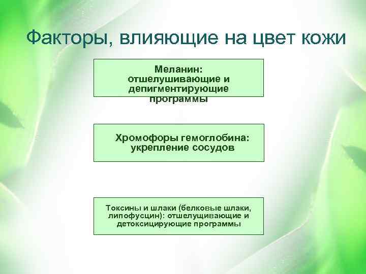 Факторы, влияющие на цвет кожи Меланин: отшелушивающие и депигментирующие программы Хромофоры гемоглобина: укрепление сосудов