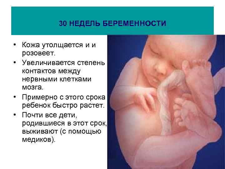 30 НЕДЕЛЬ БЕРЕМЕННОСТИ • Кожа утолщается и и розовеет. • Увеличивается степень контактов между