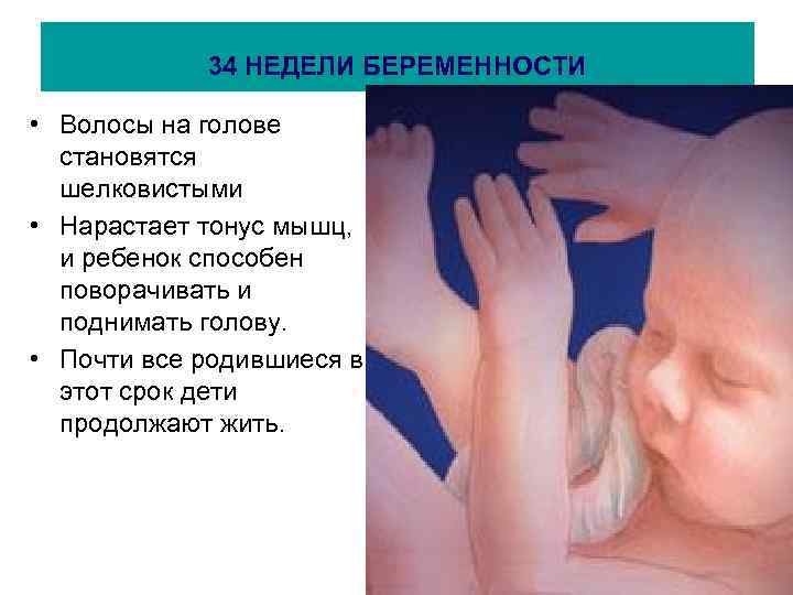 34 НЕДЕЛИ БЕРЕМЕННОСТИ • Волосы на голове становятся шелковистыми • Нарастает тонус мышц, и