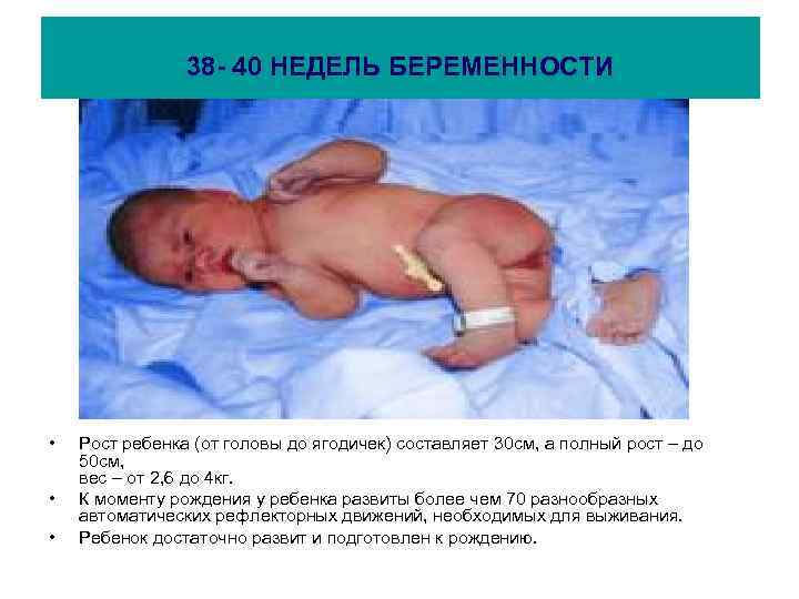 38 - 40 НЕДЕЛЬ БЕРЕМЕННОСТИ • • • Рост ребенка (от головы до ягодичек)